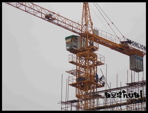 你知道塔吊是怎么上升的嗎 獨家報道