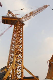 徐工塔吊維修公司專業(yè)服務與程信來供應塔吊的優(yōu)勢